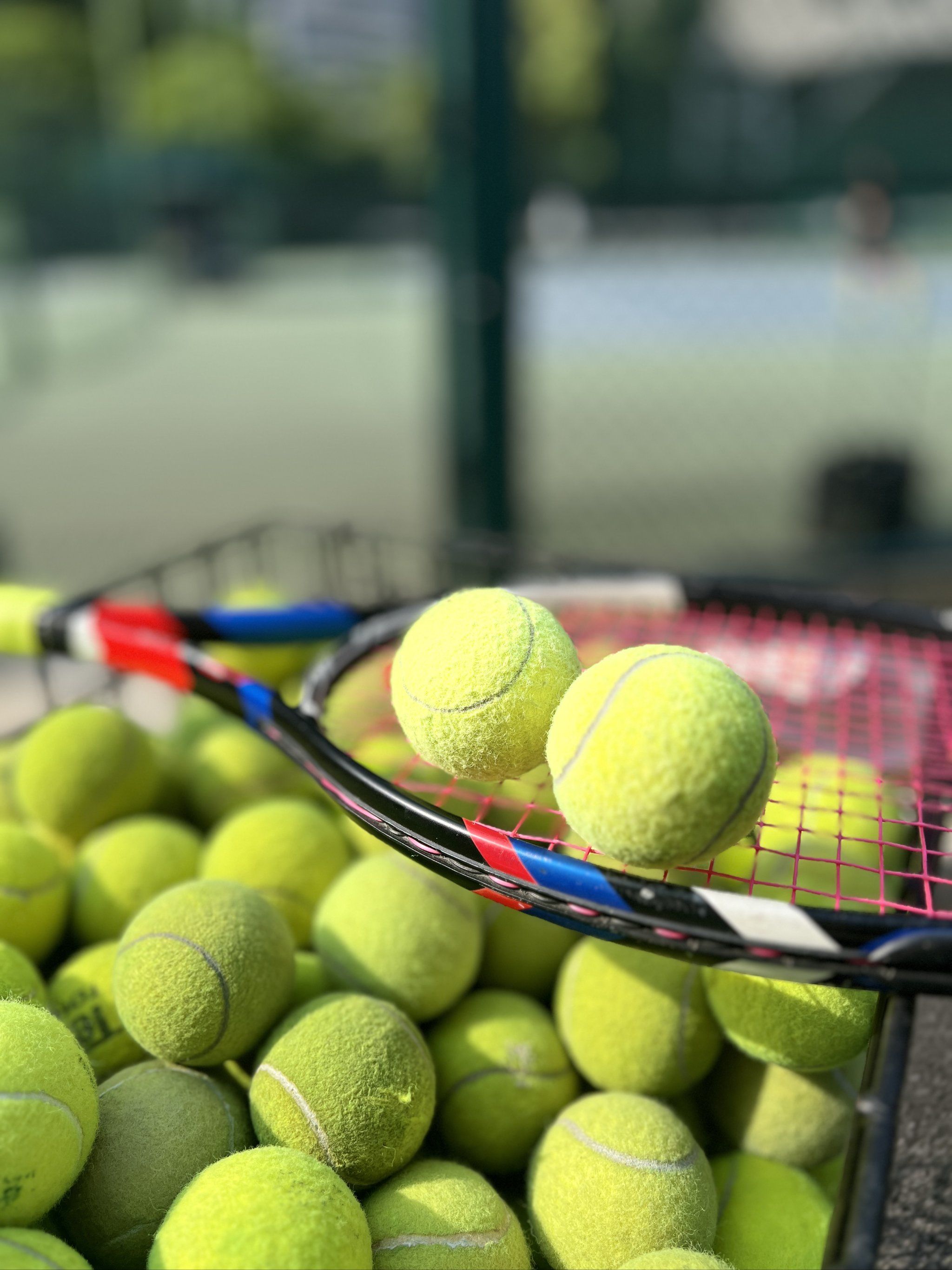 迫使本土核 迫使本土核