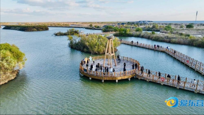 随意换桌 随意换桌